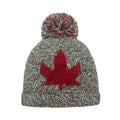 Robson Wool Hat